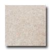 Emser Tile Paradiso 12 X 12 Natural Tile & Stone