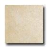 Emser Tile Paadiso 16 X 16 Beige Tile & Stone