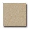 Emser Tile Roma 20 X 20 Beige Tile & Stone