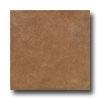 Emser Tile Vecchia Corte 13 X 13 Noce Tile & Stone