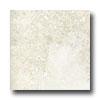 Epc Piamonte 10 X 13 Blanco Tile & Stone