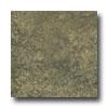 Epc Piamonte 13 X 13 Musgo Tile & Stone