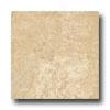 Ergon Tile Alabastro Evo 12 X 12 Polished Rectified Sabbia Tile & Sotne