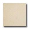 Ergon Tile Alabastro Evo 16 X 24 Polished Rectified Perla Avorio Tile & Stone