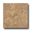 Ergon Tile Alabastro Evo 16 X 24 Polished Rectified Noce Tile & Stone