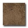 Ergon Tile Grsen Tech 18 X 18 Rectified Brown Tile & Stone