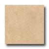 Ergon Tile Lagos 12 X 24 Rectified Beige Cascais Tile & Stone