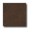 Ergon Tile Liegi 12 X 24 Rectified Marrone Wenge Tile & Stone