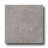 Ergon Tile Liegi 18 X 18 Rectified Grigio Tile & Stone