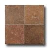 Esquire Tile Chateau Lyon 12 X 12 Spice Tile & Stone