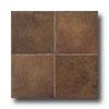 Esquire Tile Chateau Lyon 18 X 18 Marron Tile & Stone