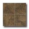 Esquire Tile Cumberland Plateau 12 X 12 Timber Tile & Stone