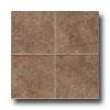 Esquire Tile Sequoyah 18 X 18 Leatherwood Tile & Grave~