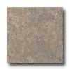 Florida Tile Creekside 8 X 12 Russet Brown Tile & Stone