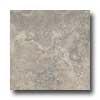 Florida Tile Creekside 8 X 12 Rock Gray Tile & Stone