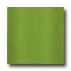 Florida Tule Dimension Glass Mosaic 1 X 1 Lt Green Tile & Stone