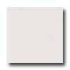 Florida Tile Matte 6 X 6 White Tile & Stone