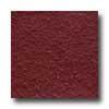 Florida Tile Metropolitan Quarry 6 X 6 Quarry Basics Mayflower Red Tile & Stone