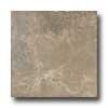 Florida Tile Montana 18 X 18 Walnut Tile & Stone