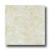 Floroda Tile Montour 13 X 13 Creme Tile & Stone