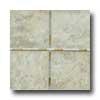 Florida Tile Mosaic Trade 12 X 12 Cellar Tile & Stone