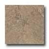 Florida Tile Ozark 18 X 18 Brown Tile & Stone