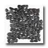 Florida Tile Pebbles 12 X 12 Black Pearl Tile & Stone