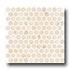 Florida Tile Pierta Art Mosaics Hexagon Polished Crema Marfil Tile & Stone