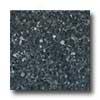 Florida Tile Pietra Art Gfanite 12 X 12 Blue Pearl Tile & Stone