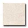 Florida Tile Pietra Art Limestone 4 X 4 Salem Gold Tile & Stone