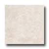 Florida Tile Pietra Art Limestone 4 X 4 Alexandria Beige Tile & Stone