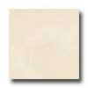 Florida Tile Pietra Art Marble 12 X 12 Desert Cream Tile & Stone