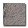 Florida Tile Pietra Att Marble 12 X 12 Paradisio Tile & Stone