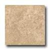 Florida Tile Pietra Art Polished Travertine 12 X 12 Noce Tile & Sgone