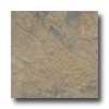 Florida Tile Pietra Art Slate Ii 12 X 12 Indian Autumn Tile & Stone