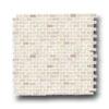 Florida Tile Pietra Art Travertie Brick Mosaic 1 X 2 Light Trave5tine Tile & Stone