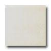 Florida Tile Playful 8 X 8 New White Tile & Stone