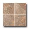 Florica Tile Scottish 19 X 19 Tobacco Tile & Stone