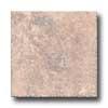 Florida Tile Villa Antica 6 X 6 Cotto Tile & Grave~