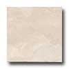 Florida Tile Washington 13 X 13 Cascade White Tile & Stone