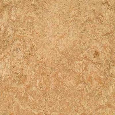 Forbo G3 Marmoleum Dual Tile 13 X 13 Shell Vinyl Flooring