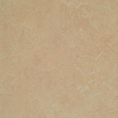 Forbo G3 Marmoleum Fresco Silver Birch Vinyl Flooring