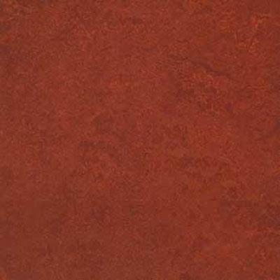 Forbo G3 Marmoleum Real 1/10 Henna Vinyl Flooring