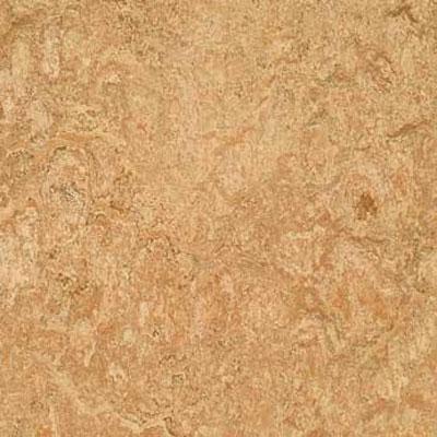 Forbo G3 Marmoleum Real 1/8 Shell Vinyl Flooring