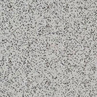 Forbo Tractionstep Slip Resistant (studded) 17302 Vinyl Flooring