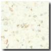 Fritztile Classic Terrazo Cln600 3/16 Twilight White Tile & Stone