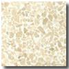 Fritztile Classic Terrazo Cl200 1/8 Thick Persian Cream Tile & Stonw