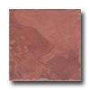 Geo Ceramiche Camelot 20 X 20 Burgundi Tile & Stone