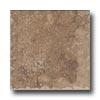 Geo Ceramiche Camelot 20 X 20 Noce Tile & Stone