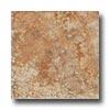 Geo Ceramiche Celtic 6.5 X 6.5 Cotto Tile & Stone